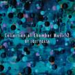 Chamber Works Vol.2: qN / VtHjGb^