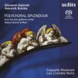 Polychoral Splendour -Schutz, Gabrieli : Strobl / Cappella Murensis, Les Cornets Noirs (Hybrid)