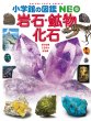 岩石・鉱物・化石 小学館の図鑑NEO