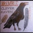 Clever Raven