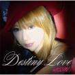Destiny Love/Stay in my heart
