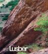 Lusber