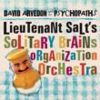 Lieutenants Salt' s Solitary Brains Organization Orchestra