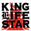King Lifestar -100% All Dub Album-