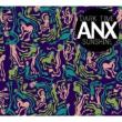 Anx