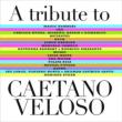 Tribute To Caetano Veloso