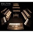 First Stage Zoltan