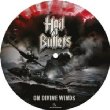On Divine Winds (Picture Disc)