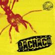 Bachaco