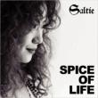 Spice Of Life