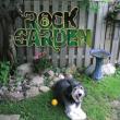 Rock Garden
