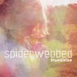 Spiderwebbed (180g)