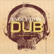 Evolution Of Dub Vol.7