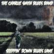 Steppin' Down Blues Lane