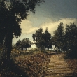 Matomu