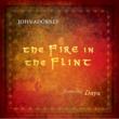 Fire In The Flint