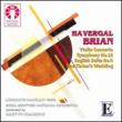 Sym, 13, Violin Concerto: Brabbins / Royal Scottish National O Mcaslan(Vn)