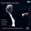 Brahms Symphony No.4, Rossini, R.Strauss, J.Strauss : Celibidache / Munich Philharmonic (1986 Tokyo)(Single Layer)