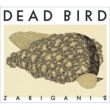 Dead Bird