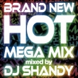 Brand New Hot Mega Mix Mixed By Dj Shandy