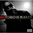 Notorious Is Back!