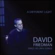Different Light: David Friedman Sings His Own