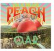 Live At Peach Music Festival 2012