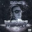 Big Sane Theory
