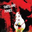 Shiteland Ponies