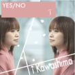 Yes/No / T