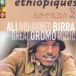 Ethiopiques 28: Great Oromo Music