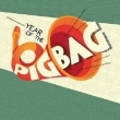 Year Of The Pigbag