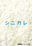 シニカレ完全版 DVD-BOX(仮)