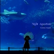 Night Aquarium
