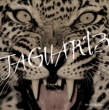 JAGUAR' 13