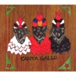 Canta Gallo