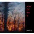 What The Fire Is