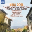 Clarinet Trio, Clarinet Sonata, etc : Gojevic(Cl)W.Zelenka(Vc)Kenedi(P)Lynn Kuo(Vn)Sweeney(Fg)