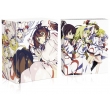 Is<infinite Stratos>complete Dvd Box