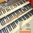 Horizontal & Vertical-music For Flute & Organ: Schaaff(Fl)Volke(Otg)