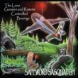 Lone Gunmen & Remote Controlled Boeings
