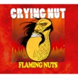 7W: Flaming Nuts