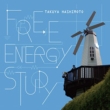 FREE ENERGY STUDY