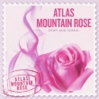 Scents Of The World: Atlas Mountain Rose