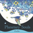 Planetary Souls