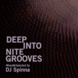 Deep Into Nite Grooves Mixed And Selected By Dj Spinna