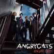 Angry Cats yʏ1-COOLz