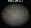 Tribal Spiral 1