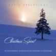 Christmas Spirit: An Instrumental Soundtrack For Seasonal
