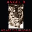 We Are The Bengals